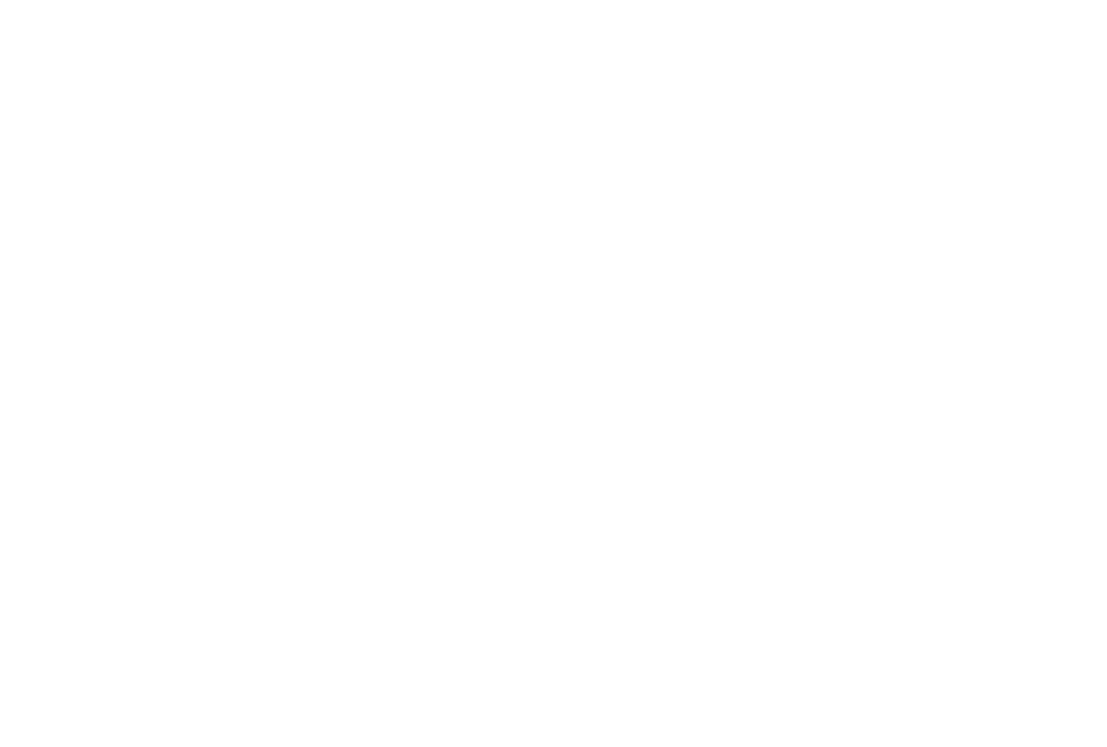 Logo Indiana