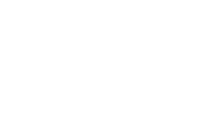 Logo NSP